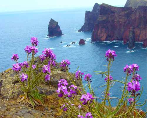 Madeira, Portugal